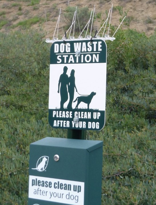 dogwaste