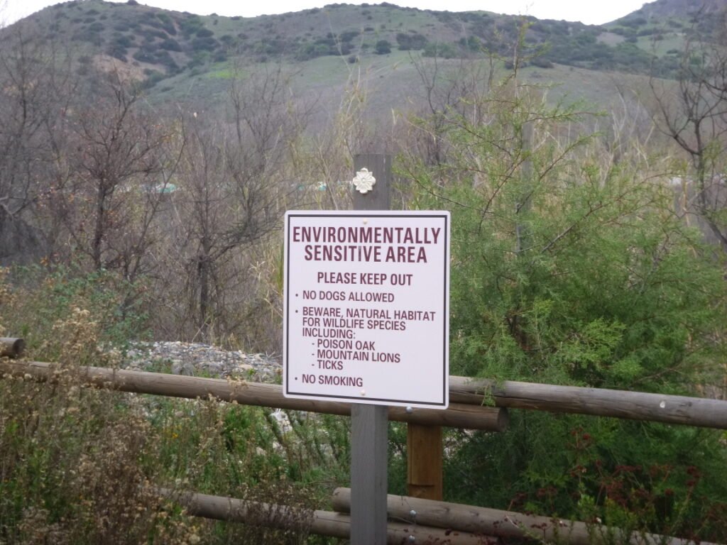 sensitive