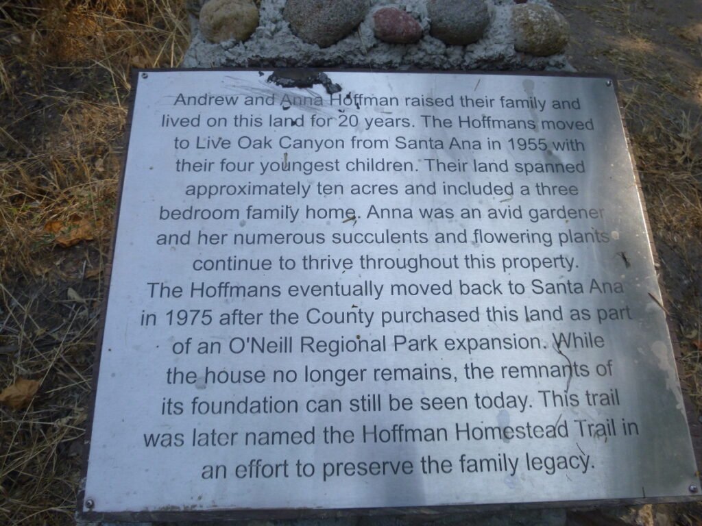 plaque