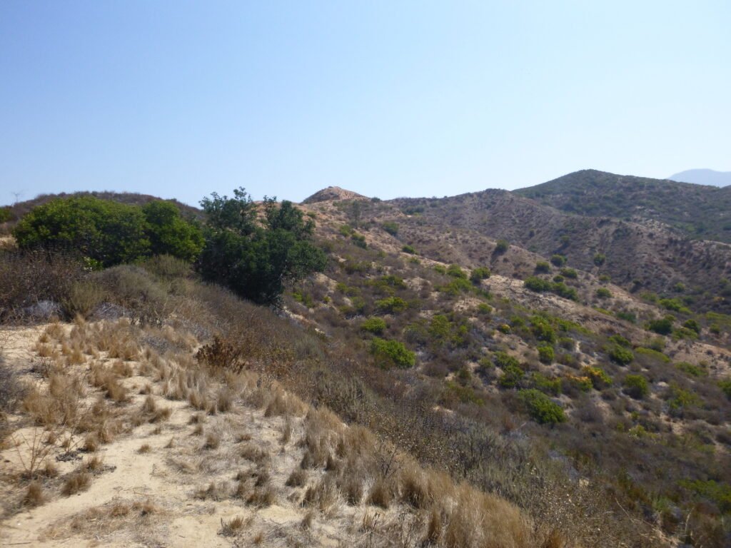 stt1