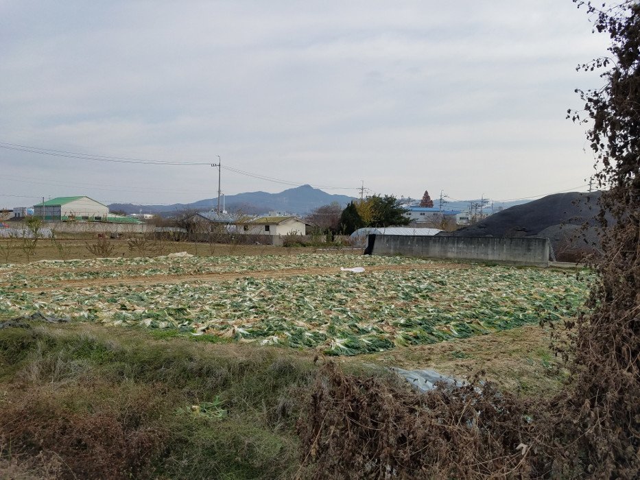 farm